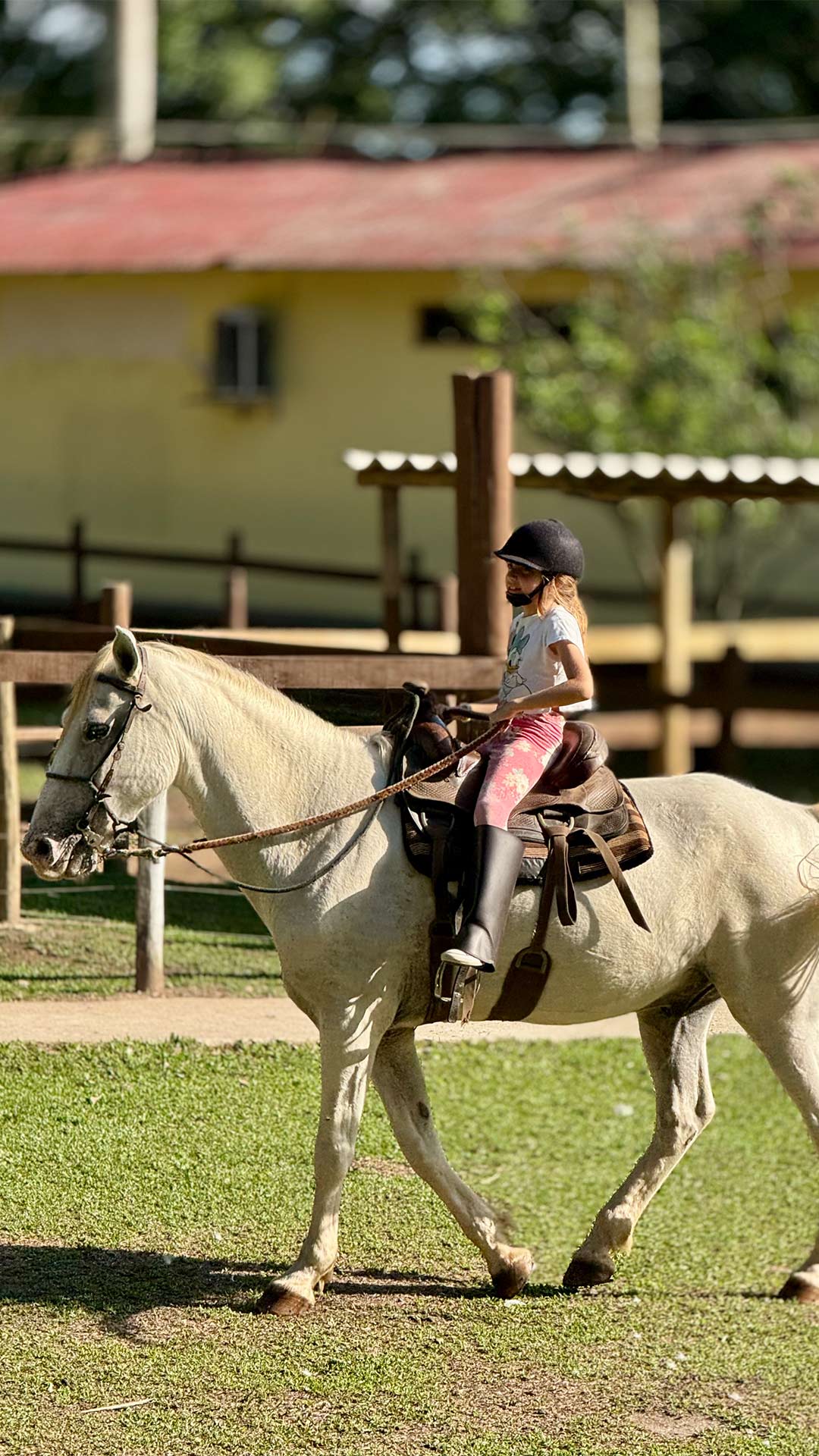Passeio_Cavalo_Lazer (2)